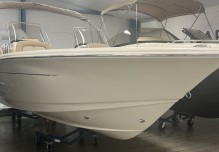 Scout 195 Sport Dorado - White